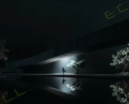 树影之光